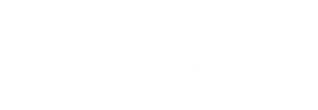 sbt